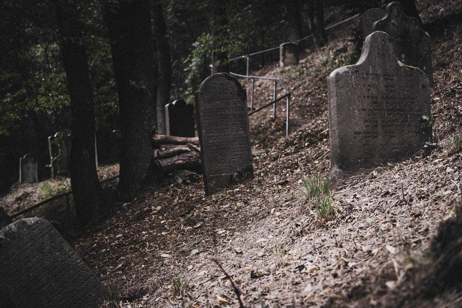 Sontra, Jüdischer Friedhof